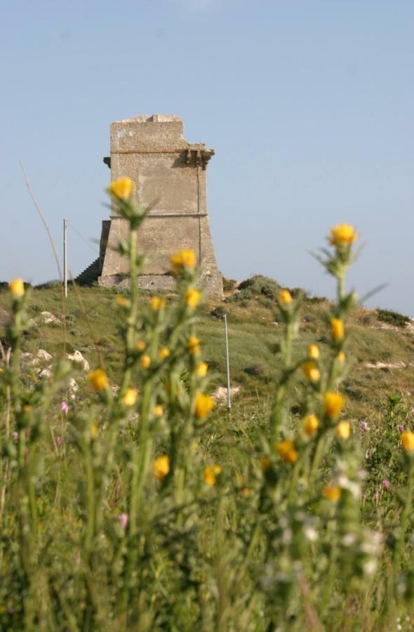 Apartament Sul Mare E Sotto Le Stelle Di Roccazzelle-Manfria Gela Zewnętrze zdjęcie